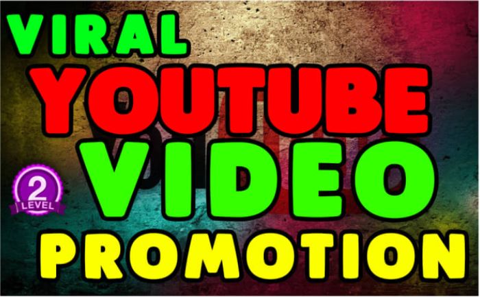I will do fast and viral youtube promotion to grow your channel, FiverrBox