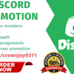 I will discord promotion, discord chat, discord moderator, discord mod, FiverrBox