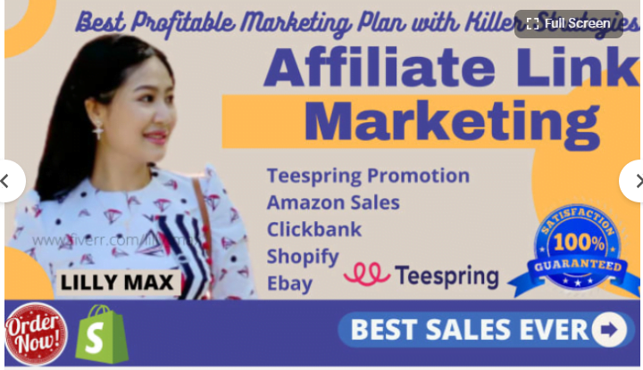 I will do sales for affiliate link marketing teespring promotion amazon traffic, FiverrBox
