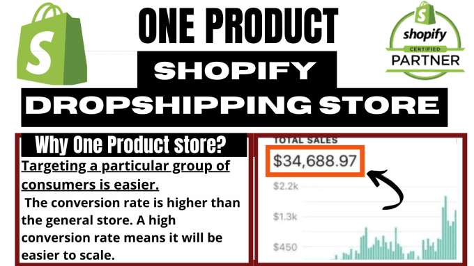 I will design one product shopify dropshipping store with marketing, FiverrBox