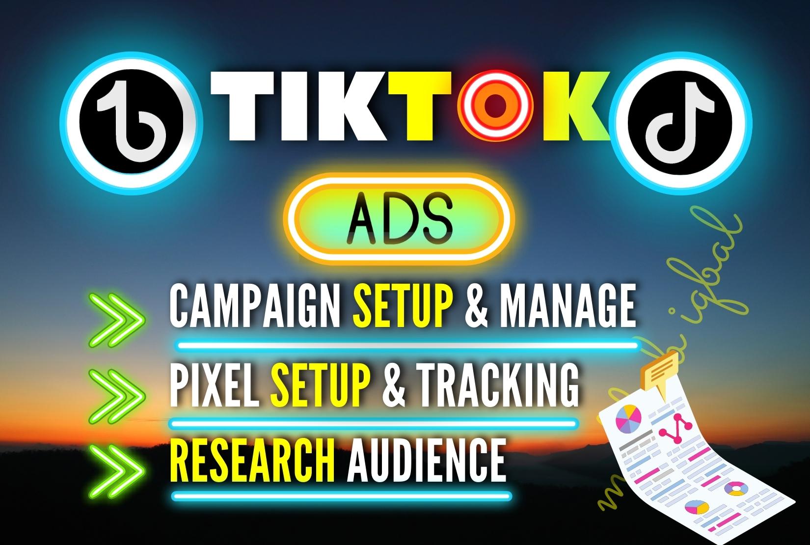 I will setup and manage tiktok ads campaign, tiktok ads, tik tok advertising, FiverrBox