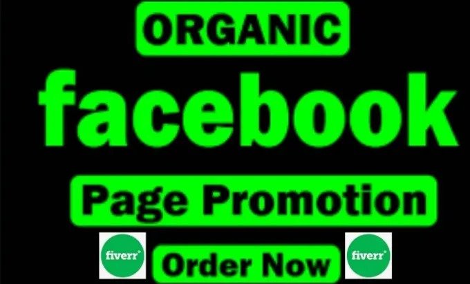 I will do organic promotion of your facebook page or group, FiverrBox