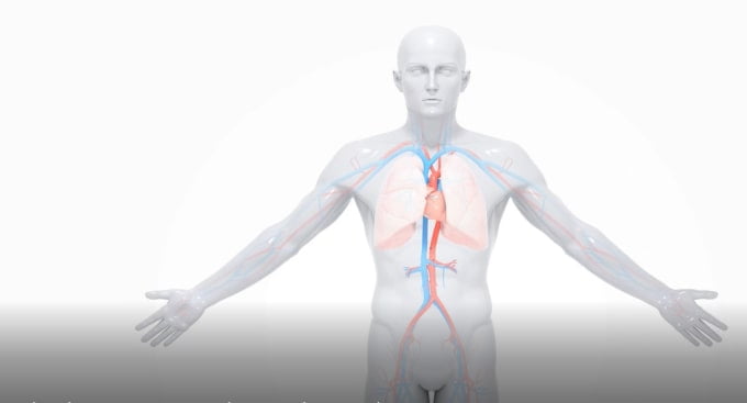3d medical video 3d Animation - FiverrBox