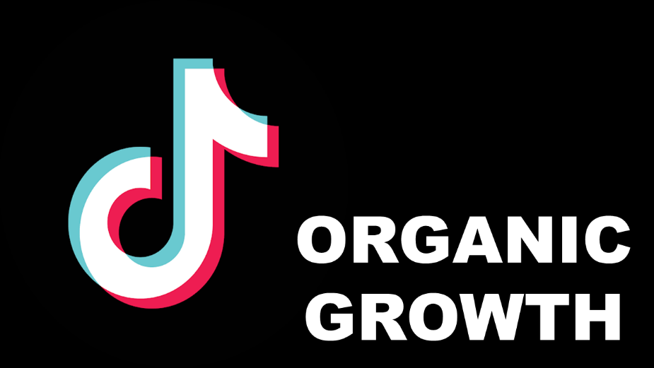 I will do organic tik tok promotion tik tok marketing to get organic followers, FiverrBox