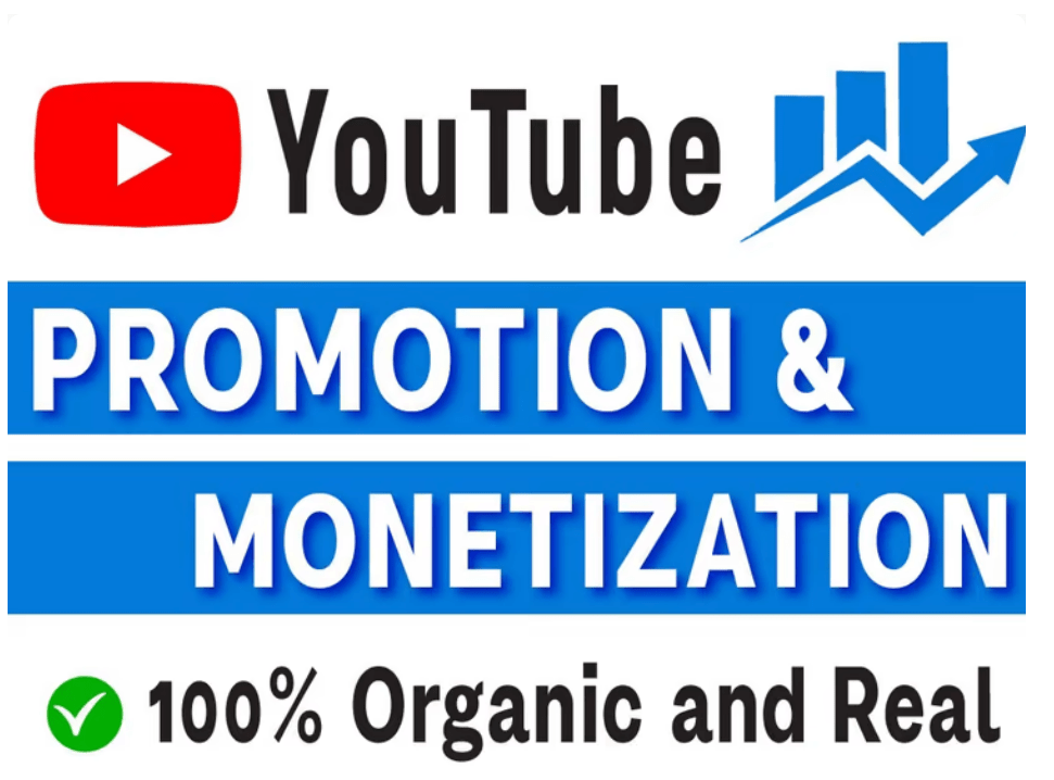 I will do organic youtube promotion and monetization, FiverrBox