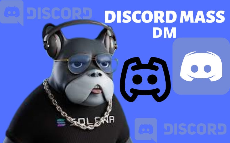 Setup custom discord server for gaming, nft, crypto, anime, fivem