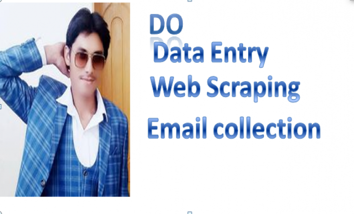 I will do excel data entry for web scraping or find emails address, FiverrBox