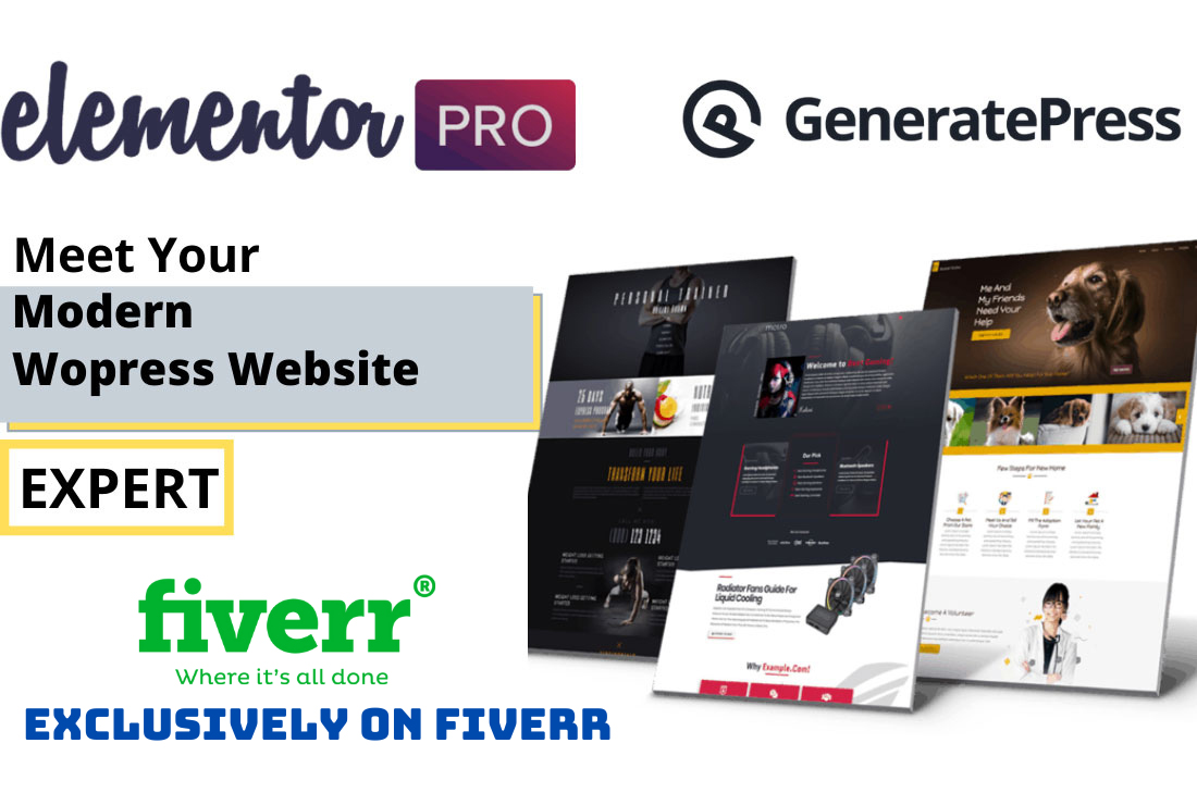 I will build,clone, or fix wordpress website with Elementor pro, FiverrBox