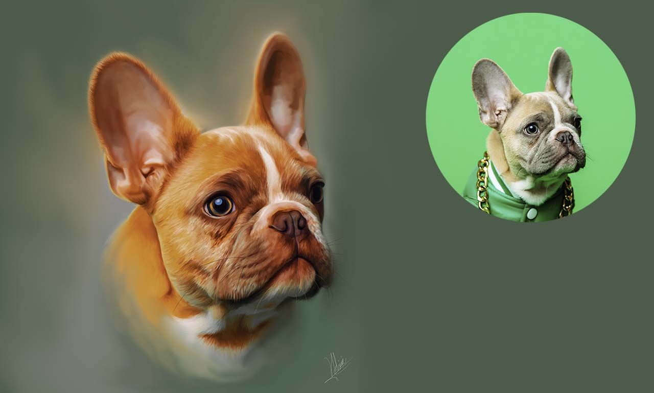 I will do a custom pet portrait, dog portrait, cat portrait, FiverrBox